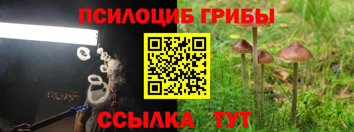 Псилоцибиновые грибы Cubensis  Псилоцибиновые грибы Psilocybe  Владивосток  Вход с VPN 